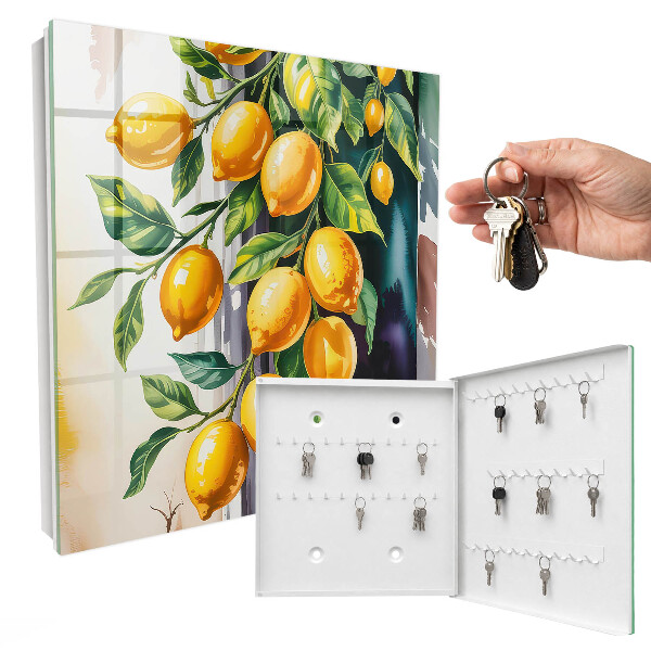 Armoire à clés murale La magie du citron