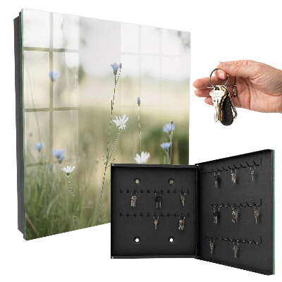 Armoire à clés murale Fleurs délicates