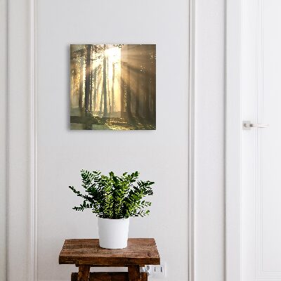 Boîte à clés decorative Lumière de la forêt