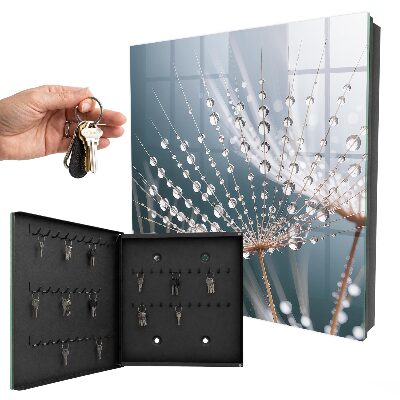 Armoire à clés murale Gouttes d'eau