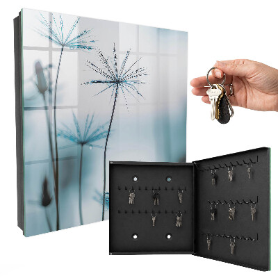 Armoire à clés murale Pissenlit et rosée