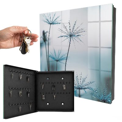 Armoire à clés murale Pissenlit et rosée