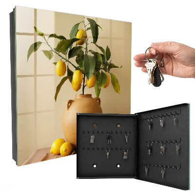 Armoire à clés murale Citrons en pichet
