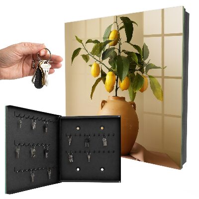 Armoire à clés murale Citrons en pichet