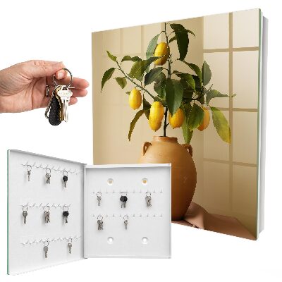 Armoire à clés murale Citrons en pichet