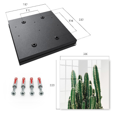 Armoire à clés murale Cactus verts