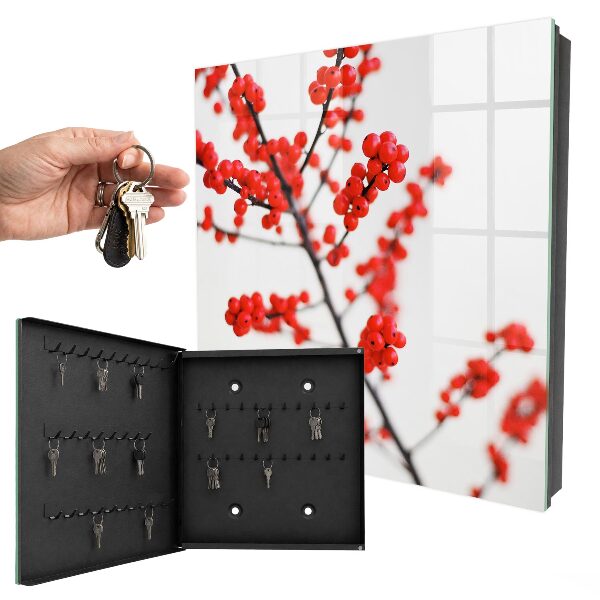 Armoire à clés murale Baies rouges