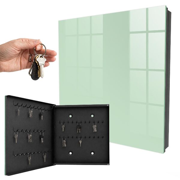 Armoire à clés murale Vert menthe
