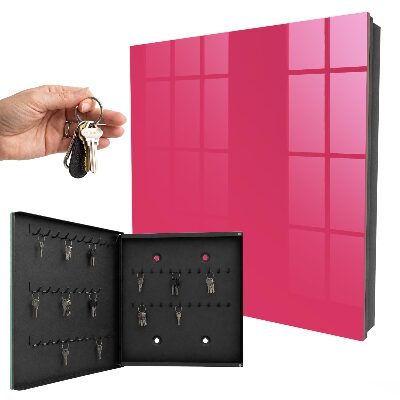 Armoire à clés murale Rose énergique