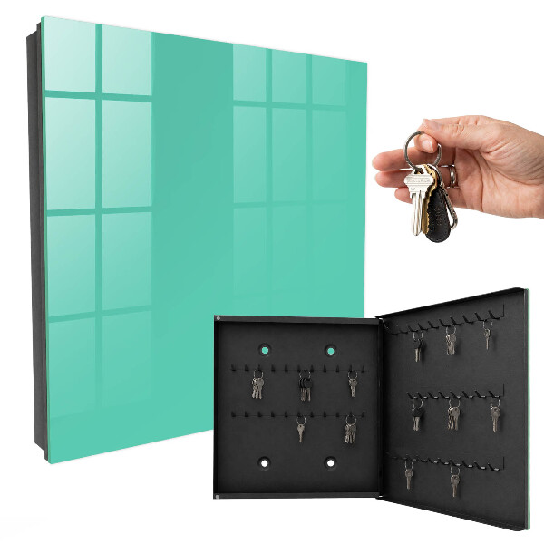 Armoire à clés murale Menthe forte