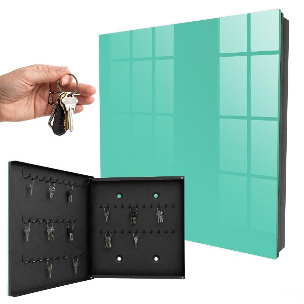 Armoire à clés murale Menthe forte