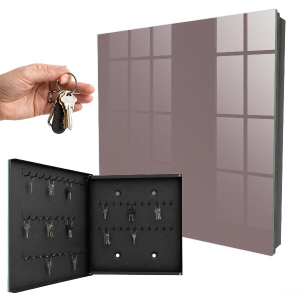 Armoire à clés murale Brun cendré