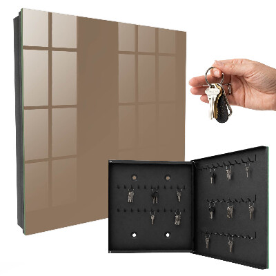 Armoire à clés murale Gris jaunâtre