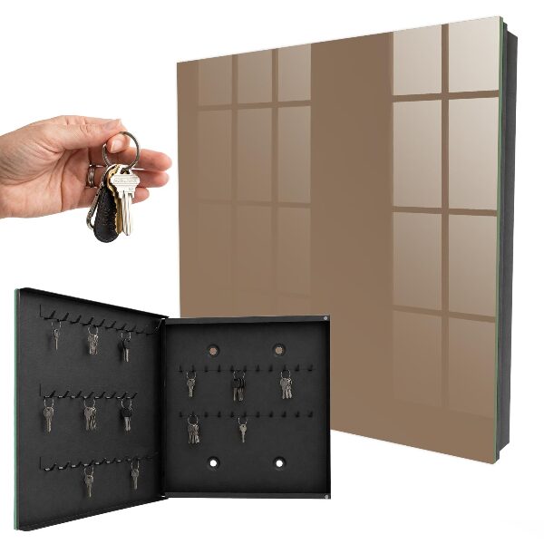 Armoire à clés murale Gris jaunâtre
