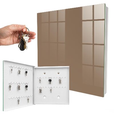 Armoire à clés murale Gris jaunâtre