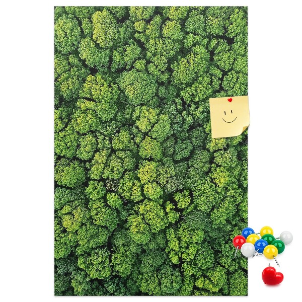Tableau en liège déco Forêt verdoyante vue du ciel