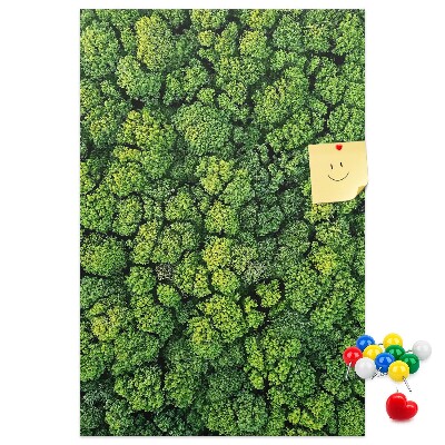 Tableau en liège déco Forêt verdoyante vue du ciel