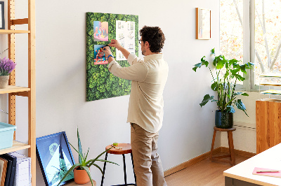 Tableau en liège déco Forêt verdoyante vue du ciel