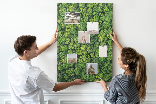 Tableau en liège déco Forêt verdoyante vue du ciel