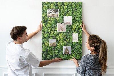Tableau en liège déco Forêt verdoyante vue du ciel