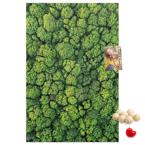 Tableau en liège déco Forêt verdoyante vue du ciel