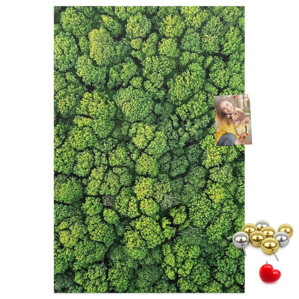 Tableau en liège déco Forêt verdoyante vue du ciel