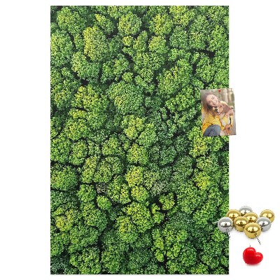 Tableau en liège déco Forêt verdoyante vue du ciel