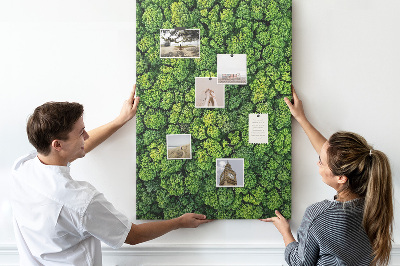 Tableau en liège déco Forêt verdoyante vue du ciel