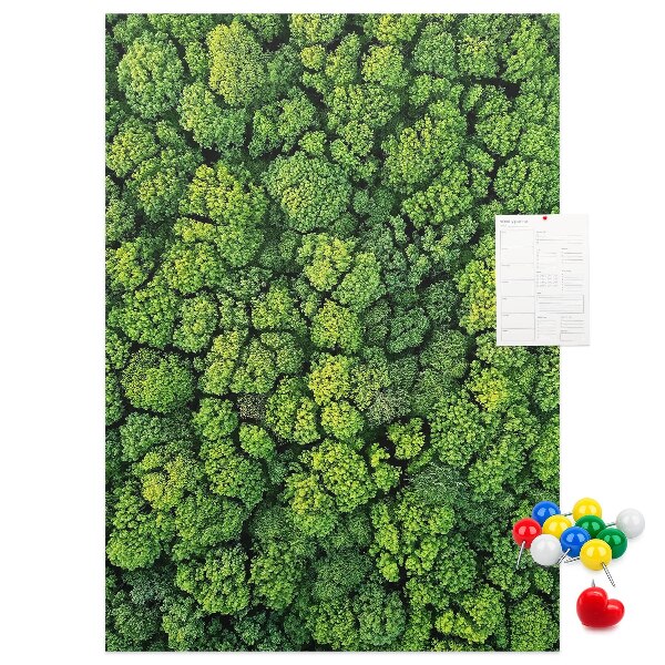 Tableau en liège déco Forêt verdoyante vue du ciel