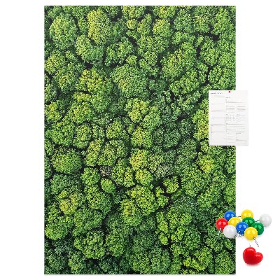 Tableau en liège déco Forêt verdoyante vue du ciel