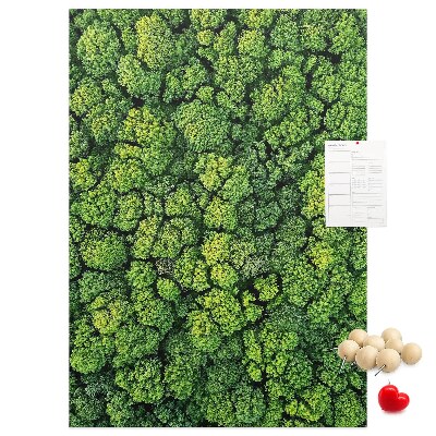 Tableau en liège déco Forêt verdoyante vue du ciel