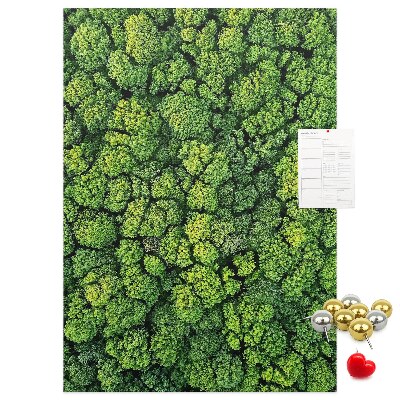 Tableau en liège déco Forêt verdoyante vue du ciel