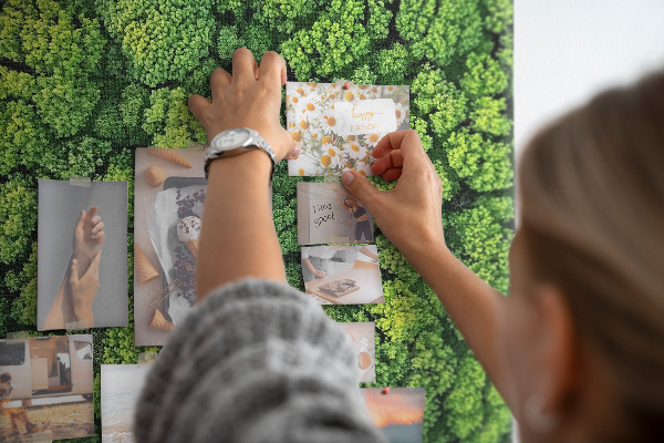 Tableau en liège déco Forêt verdoyante vue du ciel
