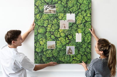Tableau en liège déco Forêt verdoyante vue du ciel