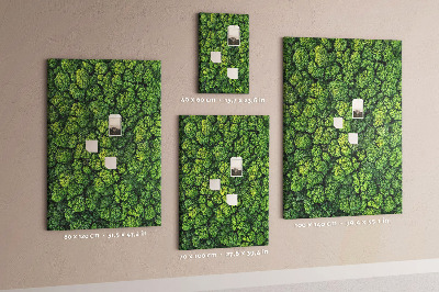 Tableau en liège déco Forêt verdoyante vue du ciel