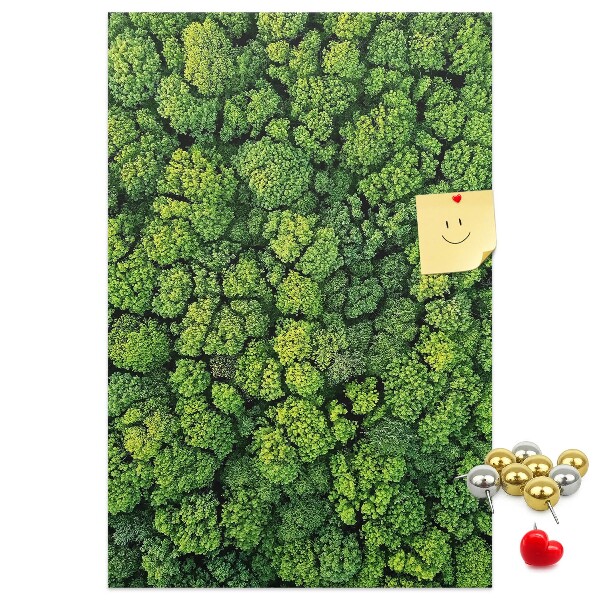 Tableau en liège déco Forêt verdoyante vue du ciel