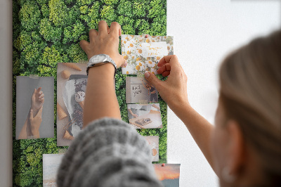 Tableau en liège déco Forêt verdoyante vue du ciel