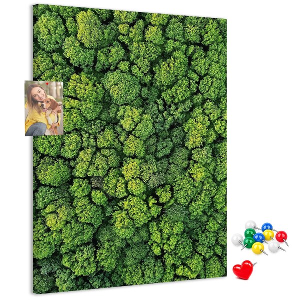 Tableau en liège déco Forêt verdoyante vue du ciel
