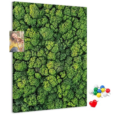 Tableau en liège déco Forêt verdoyante vue du ciel