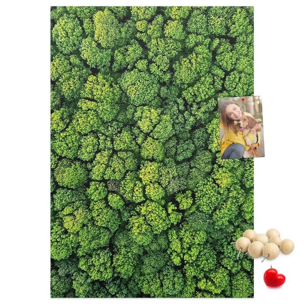 Tableau en liège déco Forêt verdoyante vue du ciel