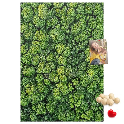 Tableau en liège déco Forêt verdoyante vue du ciel