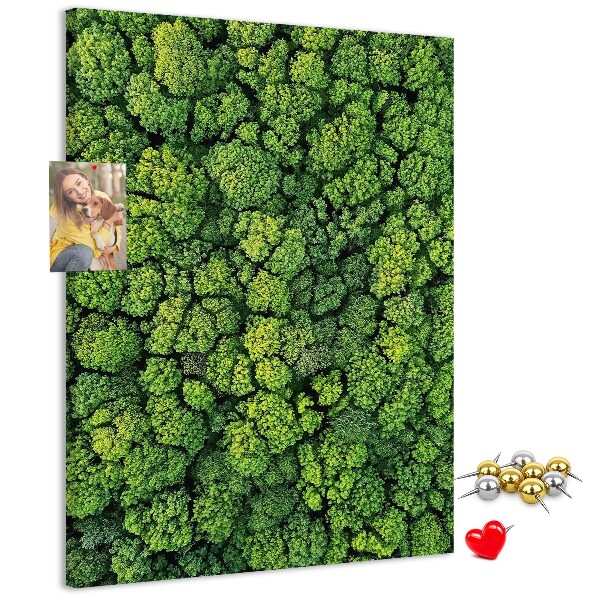 Tableau en liège déco Forêt verdoyante vue du ciel