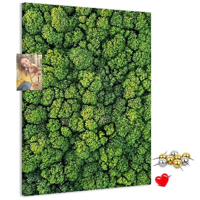 Tableau en liège déco Forêt verdoyante vue du ciel