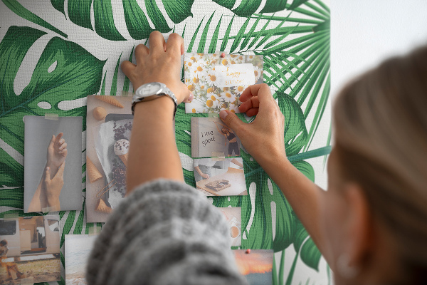 Tableau en liège déco Feuilles de Monstera sur fond clair