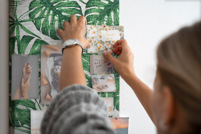Tableau en liège déco Feuilles de Monstera sur fond clair