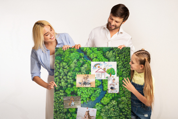 Tableau en liège déco Un paysage verdoyant traversé par une rivière sinueuse