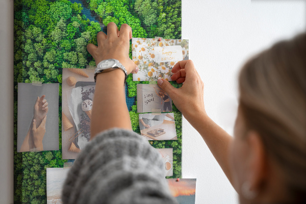 Tableau en liège déco Un paysage verdoyant traversé par une rivière sinueuse