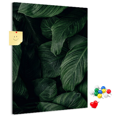 Tableau en liège déco Feuilles vertes sur fond sombre