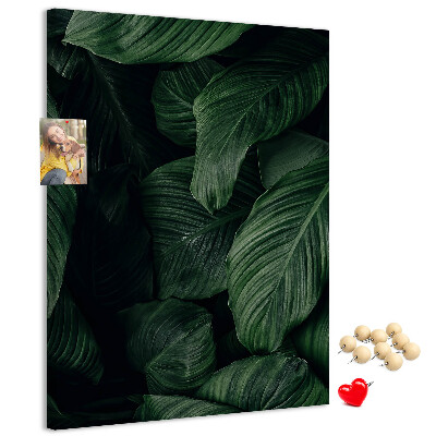 Tableau en liège déco Feuilles vertes sur fond sombre