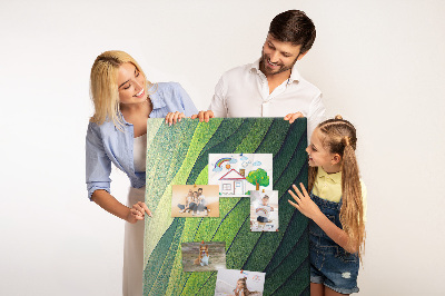 Tableau en liège fantaisie Des vagues de feuilles vertes aux nuances subtiles